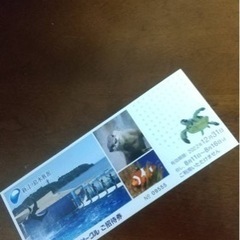 ２枚！江ノ島水族館　無料招待券２枚
