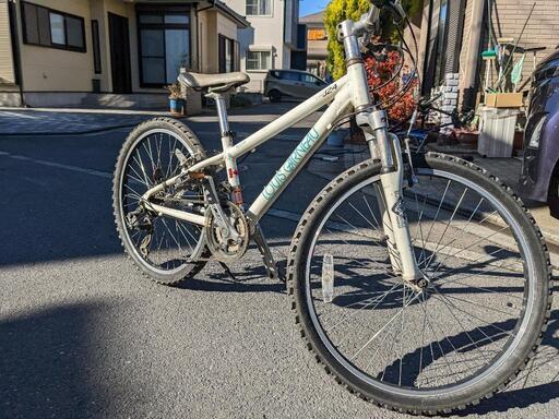 マウンテンバイク　子供用　ルイガノ　lgs-j24　300㎜　21速　白　狭山市引取限定