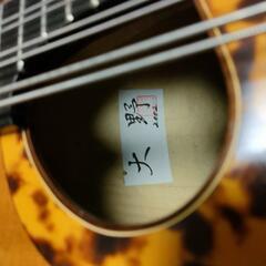 大野マンドチェロ