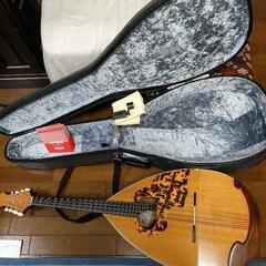 大野マンドチェロ