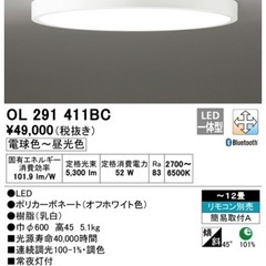 【ネット決済】【新品未使用】12畳　LEDシーリングライト（オー...