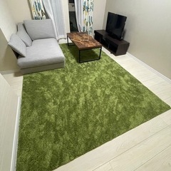 【ネット決済】緑のカーペット