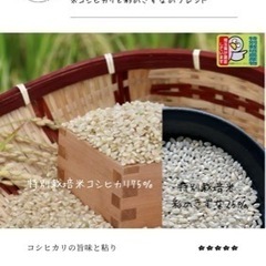 【完売致しました‼︎】令和4年産　特別栽培米　コシヒカリと彩のき...