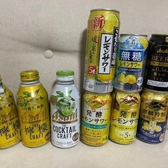 年末年始の晩酌にどうぞ！！✨お酒9本セット✨