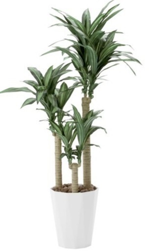 光触媒　光の楽園幸福の木 高さ 1.6ｍ【インテリアグリーン大型 人工観葉植物】