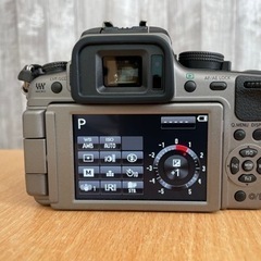 LUMIX DMC-GH2(ボディ/レンズ/保護フィルター他)