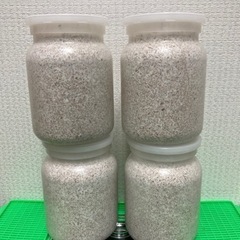 国産オオクワガタ幼虫4頭【アンバランス】　菌糸びん800cc4本