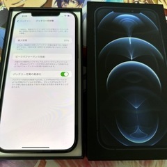 iPhone12 Pro Max 512