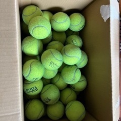 テニスボール　59個