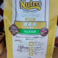 ドッグフード(Nutro減量用/ラム&玄米)1㎏×3点