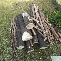 材木、木、薪 キャンプなどに