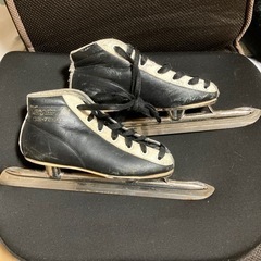 小学校　スケート靴　19センチ