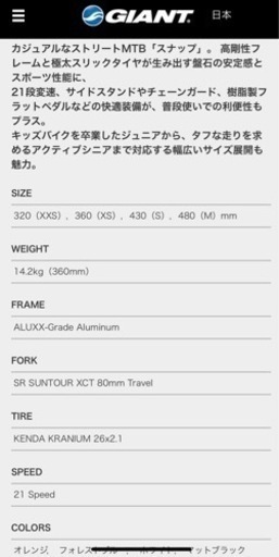 GIANT子供自転車サイズ320(XXS)