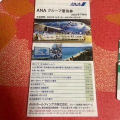 ANA グループ優待券