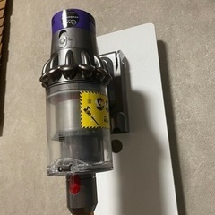 dyson cyclone v10 SV12 fluffy