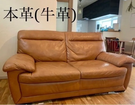 牛革　本革ソファー