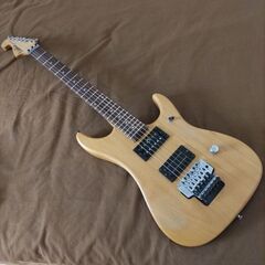 【商談成立、本日受け渡し予定】Washburn N2　中古