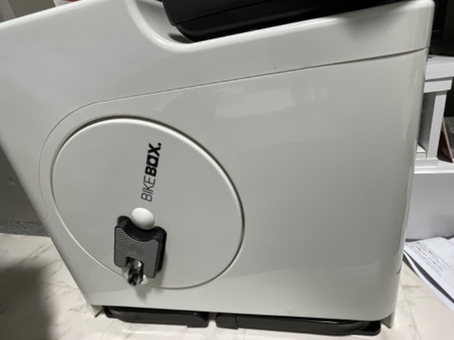 コイベタ✖️コイベタ ギャラクシーカラー繁殖中