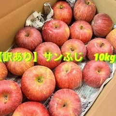 ④産地直送 サンふじりんご 家庭用 10キロ