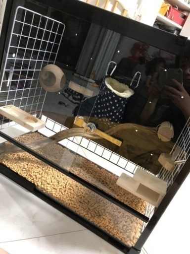 フクロモモンガ ケージ 値下げ中‼️
