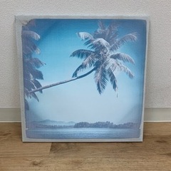 布製パネル ヤシの木の写真　60×60