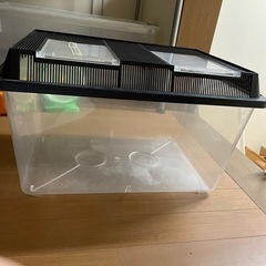 虫かごの中古が安い 激安で譲ります 無料であげます ジモティー