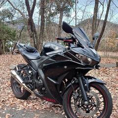 【ネット決済・配送可】YAMAHA YZF-R25カスタム車両 ...