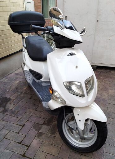 PGO ピージーオー T-rex125 4スト 実働車 4サイクル スクーター