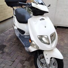 PGO ピージーオー T-rex125 4スト 実働車 4サイク...