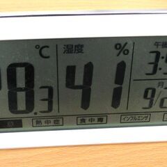 ☆シチズン CITIZEN 8RD206-A 高精度デジタル温度...