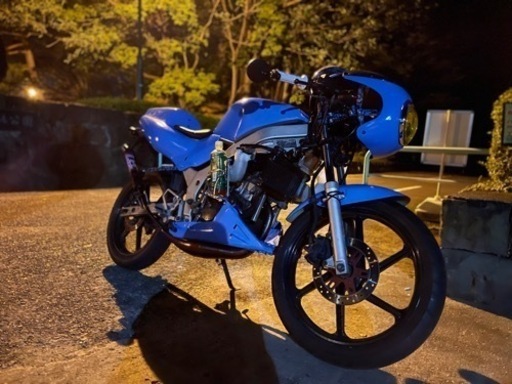 NSｰ1