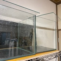 コトブキ　30㎝キューブ水槽　在庫4 マット　ガラス蓋有り
