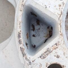 YOKOHAMA　AVS MODEL7