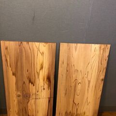 ベニヤ絵】【看板】『立ちはだかる獣人』