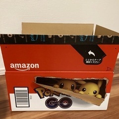 ポケモンGO Amazonダンボール 非売品 ピカチュウ イーヴイ