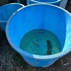 ダイライトタンク　丸型容器　3個セット