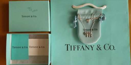 その他 Tiffany \u0026 Co. silver necklace (Virgo)