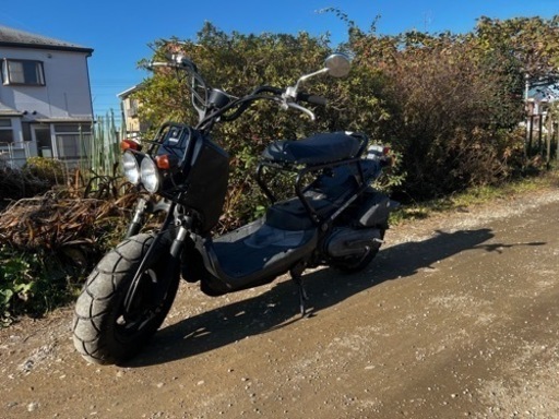 HONDA ズーマー　実働