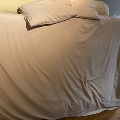 布団と敷布団（マットレス用）、枕2個