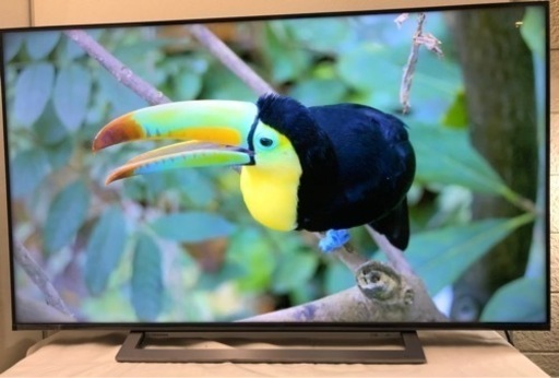 決まりました‼️ 高画質✨　東芝　4K テレビ　50インチ　TOSHIBA 4K TV 50M530X 2020