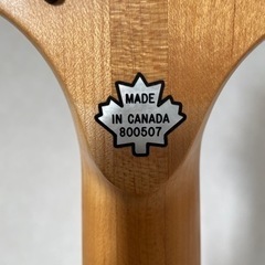 F-bass BN-5 カスタム