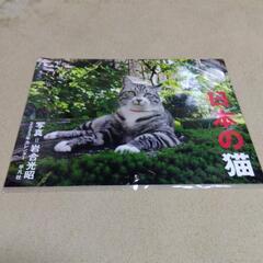  日本の猫　２０２３年　カレンダー