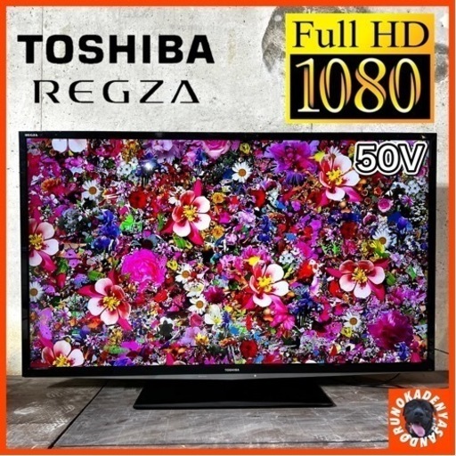 【ご成約済み】TOSHIBA REGZA 薄型テレビ 大画面の50型✨ フルHD⭕️ 配送無料
