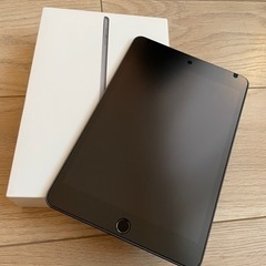 iPad mini 256GB wifiモデル