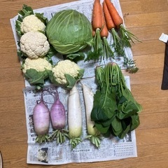 野菜　2点　¥100.-