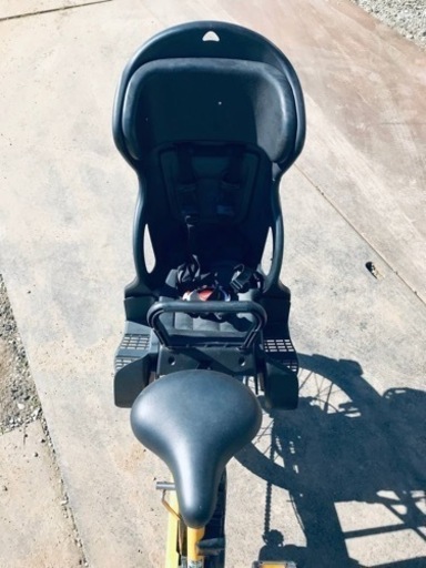 Toto garden 剱持敬子さん作 猫のステンドグラス 額付 （破損あり