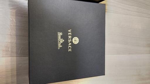 Versace Medusa ヴェルサーチ ロングドリンク グラス 48874 【公式通販】