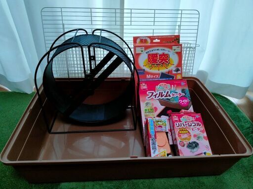 ハリネズミ飼育セット【送料込】