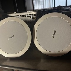 BOSE DS16F2個セット