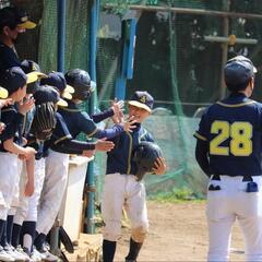 お茶当番なし❗『エースライオンズ』⚾少年野球チームメイト募集中⚾の画像